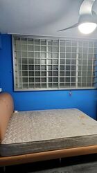 Blk 146 Bishan Green (Bishan), HDB 4 Rooms #499887111